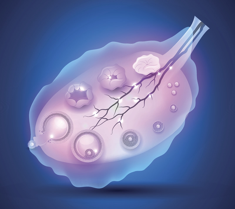 泰国可以做三代试管婴儿的医院好吗？